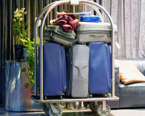stainless steel trolly