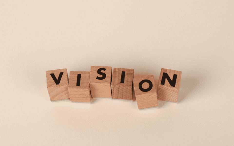 vision